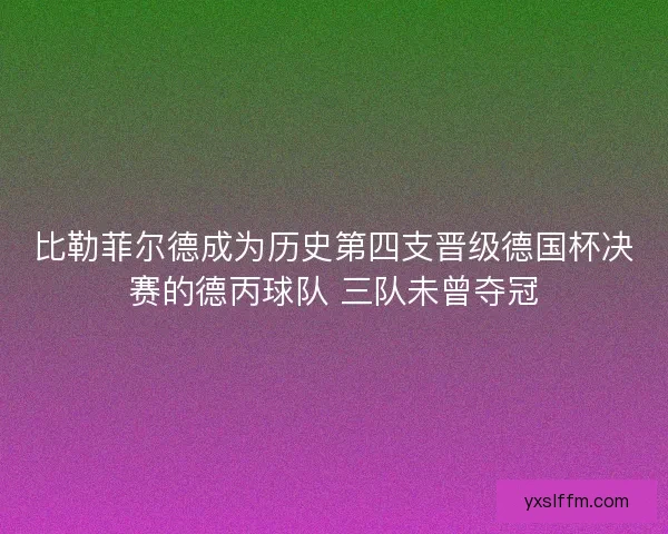 比勒菲尔德成为历史第四支晋级德国杯决赛的德丙球队 三队未曾夺冠 比勒菲尔德成为历史第四支晋级德国杯决赛的德丙球队 三队未曾夺冠