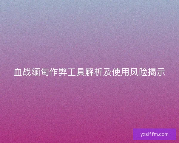 血战缅甸作弊工具解析及使用风险揭示