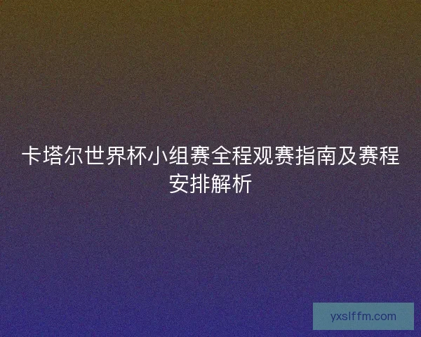 卡塔尔世界杯小组赛全程观赛指南及赛程安排解析