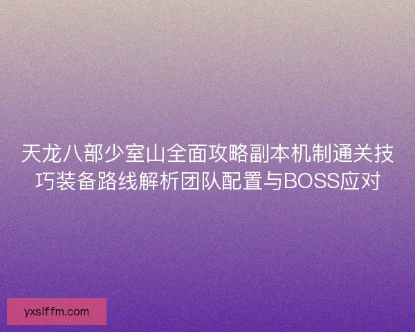 天龙八部少室山全面攻略副本机制通关技巧装备路线解析团队配置与BOSS应对