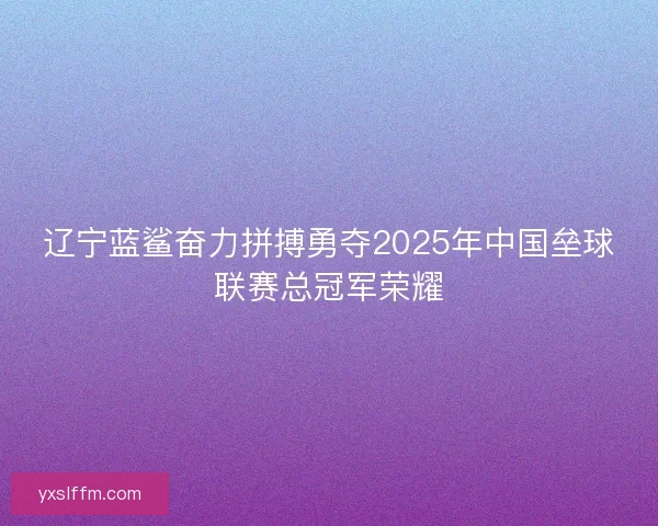 辽宁蓝鲨奋力拼搏勇夺2025年中国垒球联赛总冠军荣耀