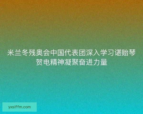 米兰冬残奥会中国代表团深入学习谌贻琴贺电精神凝聚奋进力量